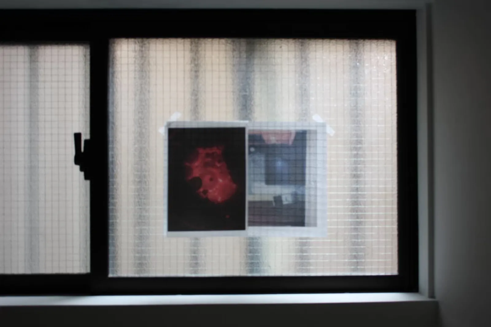 Two printed images attached to a wired-glass window