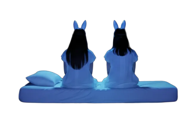 Rabbit behind