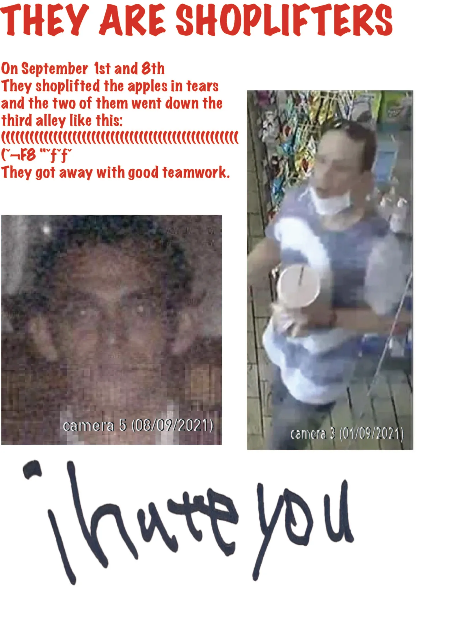 Wanted Criminals: Shoplifters